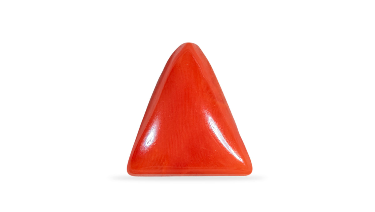 Italian Red Coral 6.42 Carats / 7.05 Ratti