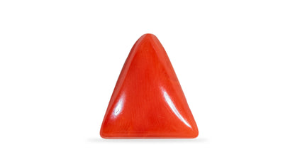 Italian Red Coral 6.42 Carats / 7.05 Ratti