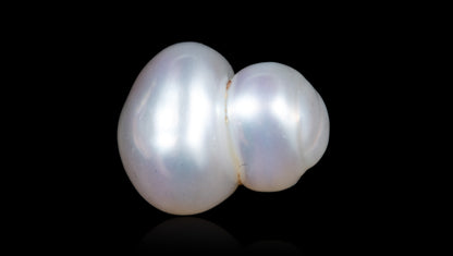 Venezuela Pearl 12.31 Carats / 13.53 Ratti