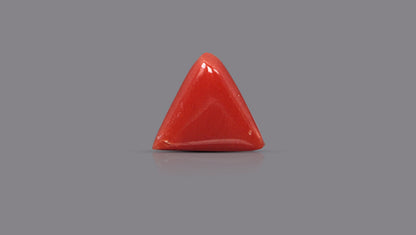 Italian Red Coral 5.74 Carats / 6.31 Ratti
