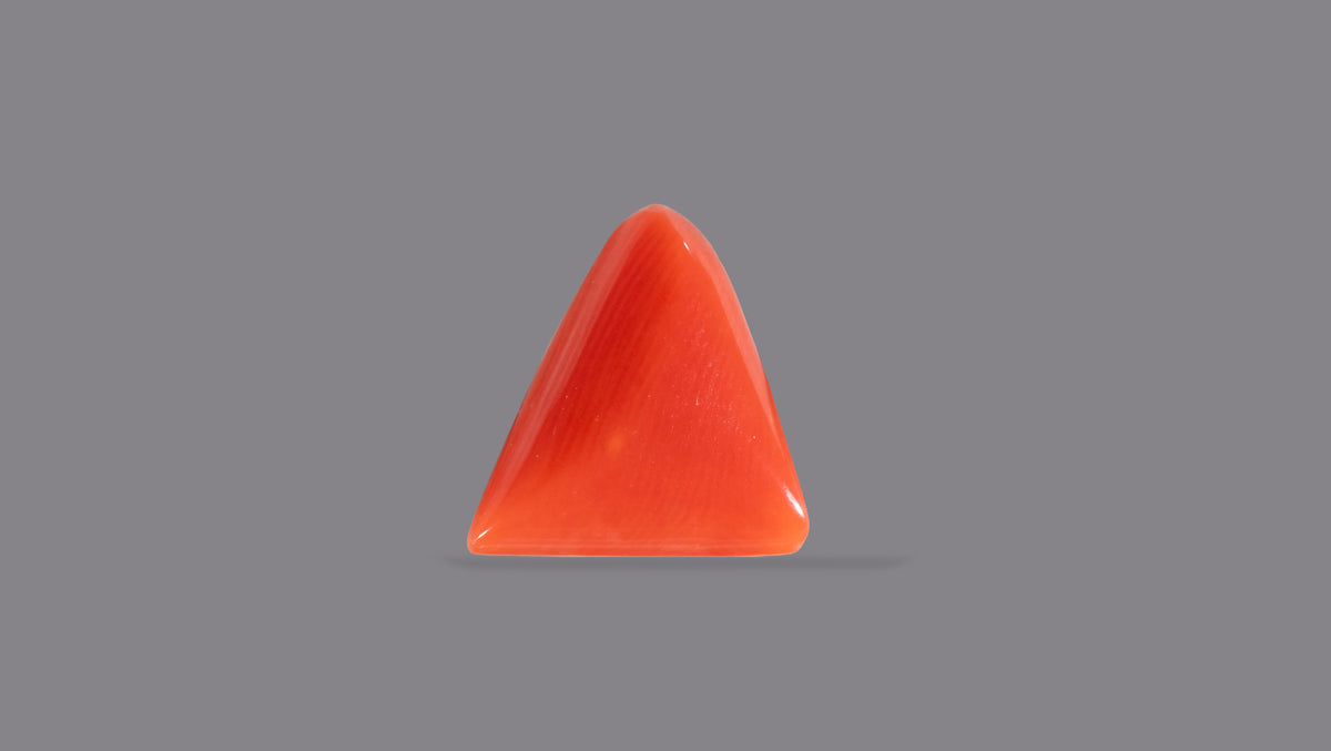 Italian Red Coral 6.06 Carats / 6.66 Ratti