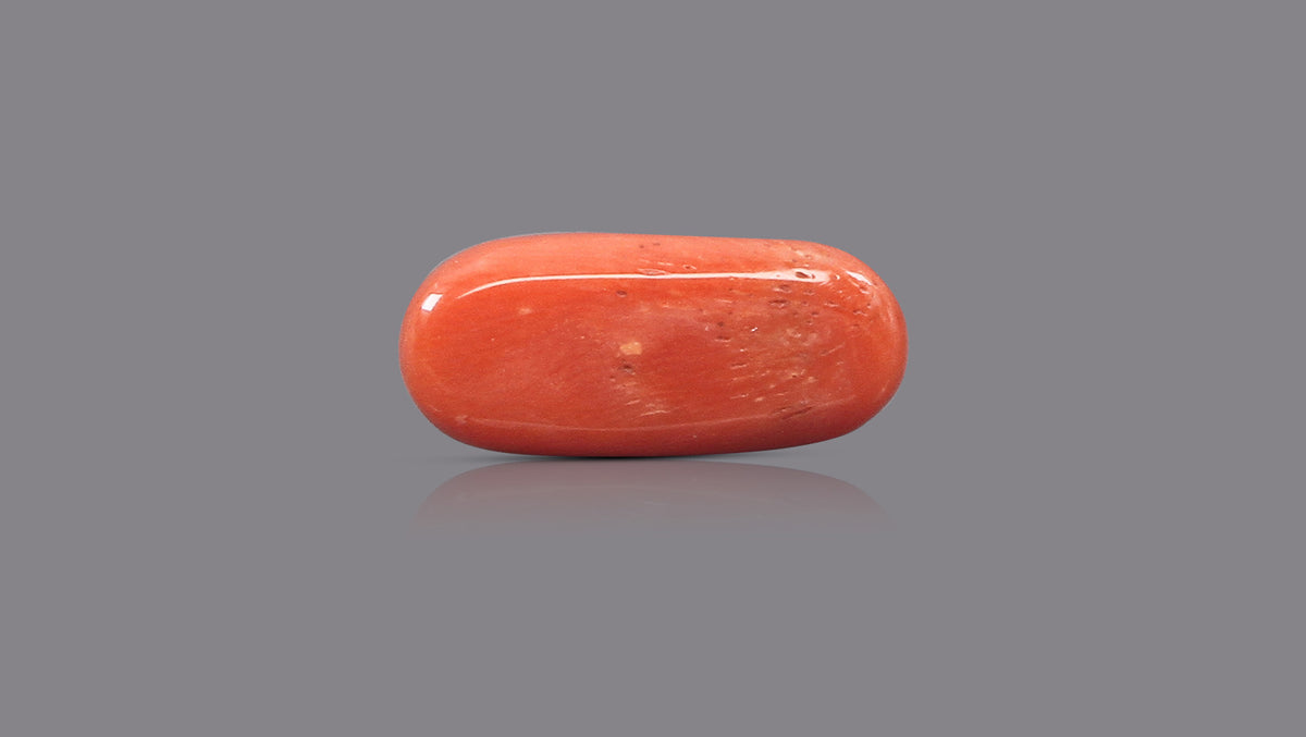 Italian Red Coral 9.72 Carats / 10.68 Ratti