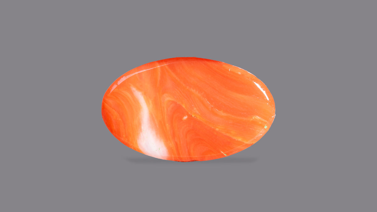 Japanese Red Coral 7.20 Carats / 7.91 Ratti