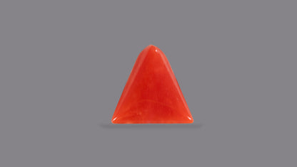 Italian Red Coral 5.18 Carats / 5.69 Ratti