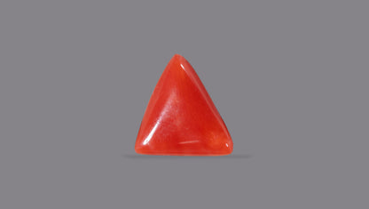 Italian Red Coral 4.93 Carats / 5.42 Ratti