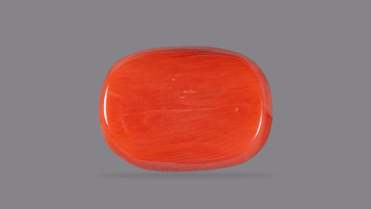 Italian Red Coral 10.59 Carats / 11.64 Ratti