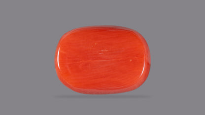 Italian Red Coral 10.59 Carats / 11.64 Ratti