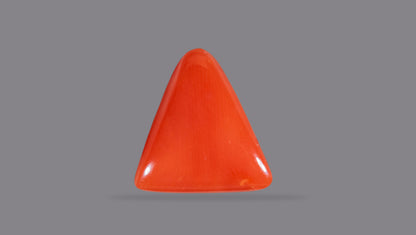 Italian Red Coral 5.22 Carats / 5.74 Ratti