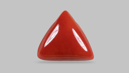 Italian Red Coral 18.05 Carats / 19.84 Ratti