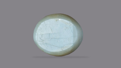 Cat's Eye (Lehsuniya) 12.65 Carats / 13.9 Ratti