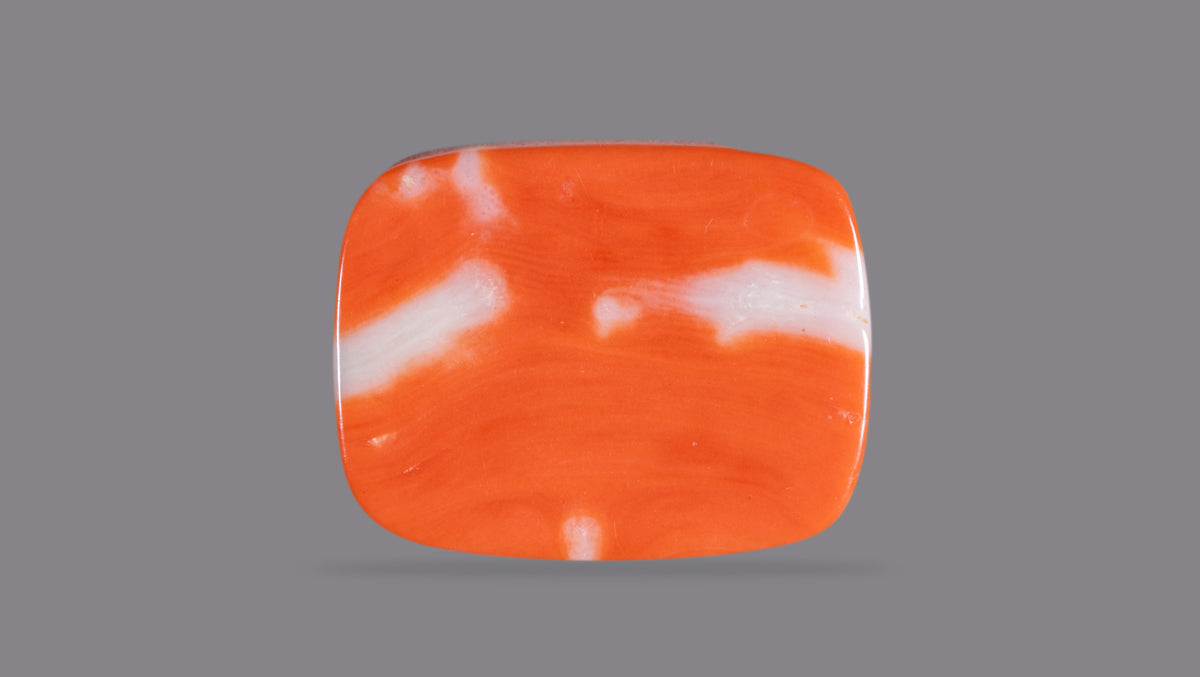 Japanese Red Coral 21.15 Carats / 23.24 Ratti
