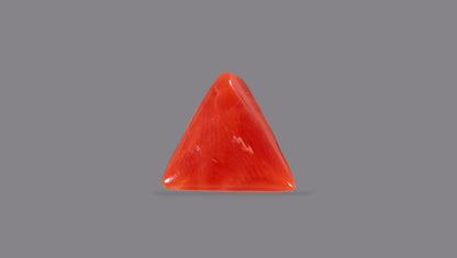 Italian Red Coral 5.09 Carats / 5.59 Ratti