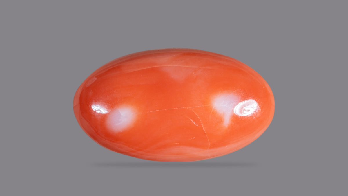 Japanese Red Coral 46.06 Carats / 50.62 Ratti
