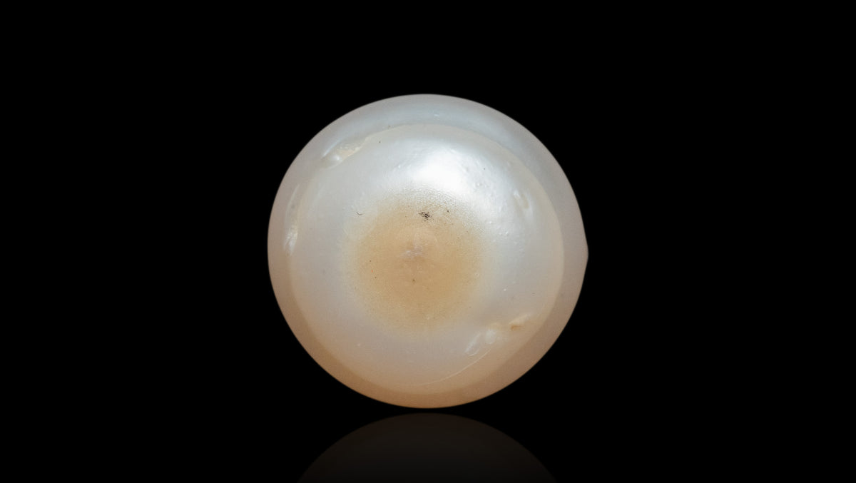 Venezuela Pearl6.63 Carats / 7.29 Ratti