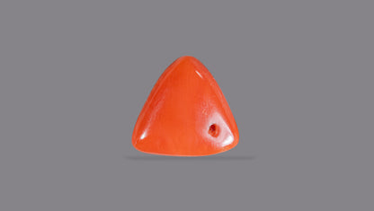 Italian Red Coral 9.02 Carats / 9.91 Ratti
