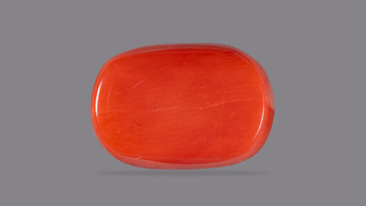 Italian Red Coral 12.63 Carats / 13.88 Ratti