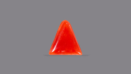 Italian Red Coral 5.19 Carats / 5.7 Ratti