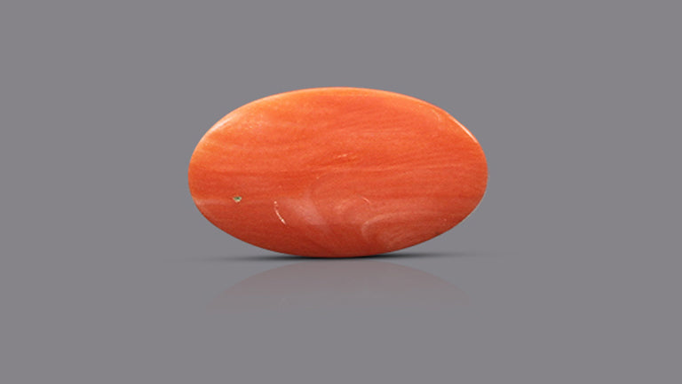 Japanese Red Coral 10.53 Carats / 11.57 Ratti