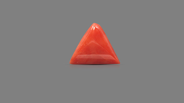 Italian Red Coral 12.08 Carats / 13.27 Ratti