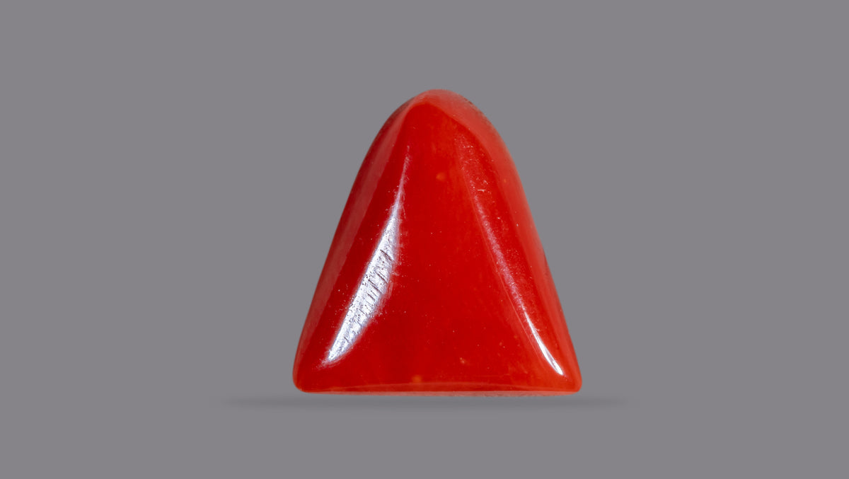 Italian Red Coral 6.45 Carats / 7.09 Ratti
