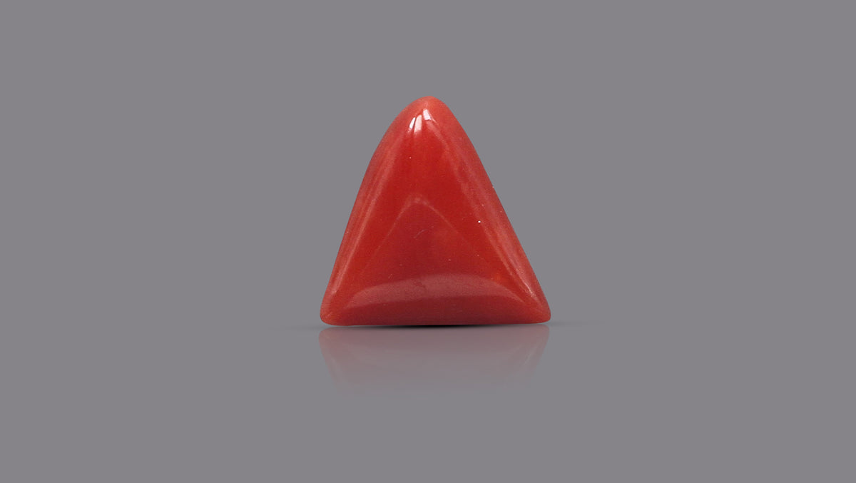 Italian Red Coral 5.83 Carats / 6.41 Ratti