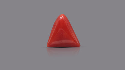 Italian Red Coral 5.83 Carats / 6.41 Ratti