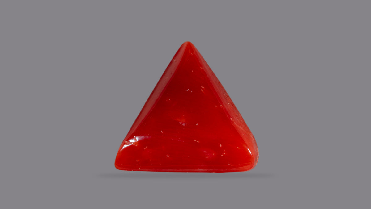 Italian Red Coral 6.06 Carats / 6.66 Ratti