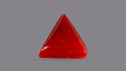 Italian Red Coral 6.06 Carats / 6.66 Ratti