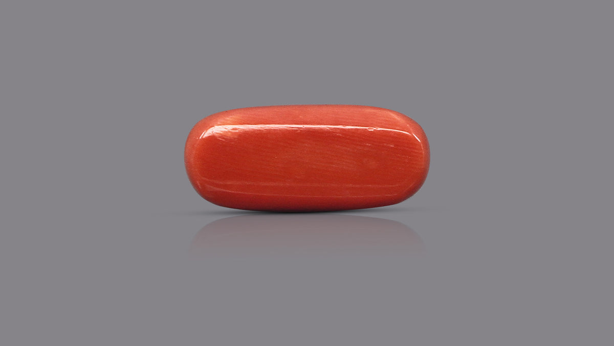 Italian Red Coral 12.02 Carats / 13.21 Ratti