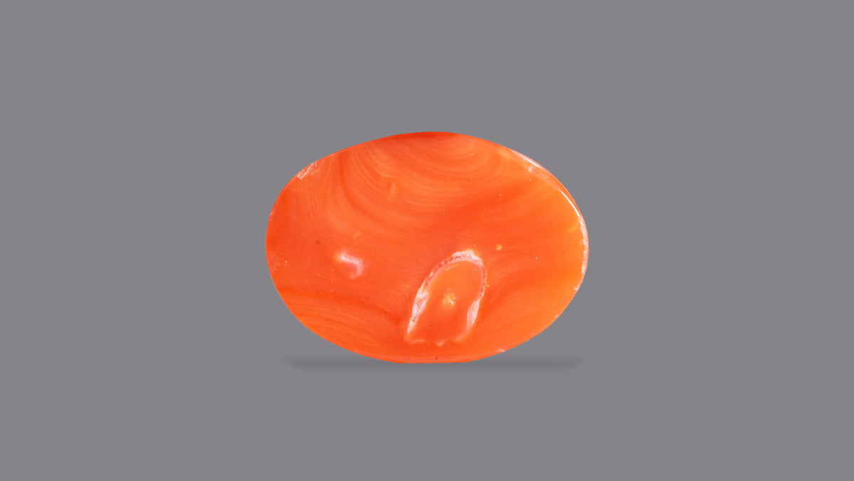 Japanese Red Coral 6.26 Carats / 6.88 Ratti