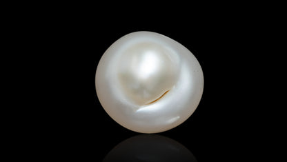 Venezuela Pearl9.84 Carats / 10.81 Ratti