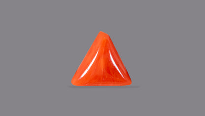 Italian Red Coral 6.05 Carats / 6.65 Ratti