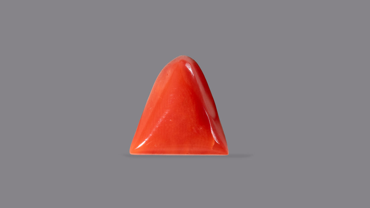 Italian Red Coral 5.53 Carats / 6.08 Ratti