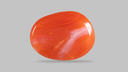 Japanese Red Coral 5.24 Carats / 5.76 Ratti