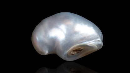 Venezuela Pearl 6.58 Carats / 7.23 Ratti
