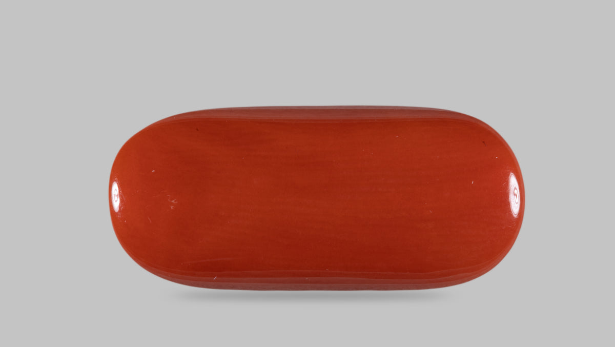 Italian Red Coral 14.19 Carats / 14 Ratti