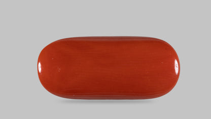 Italian Red Coral 14.19 Carats / 14 Ratti