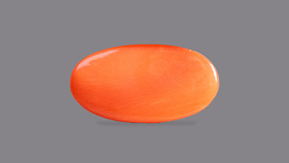 Japanese Red Coral 6.44 Carats / 7.08 Ratti