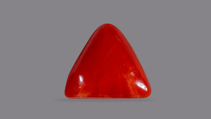 Italian Red Coral 6.28 Carats / 6.9 Ratti