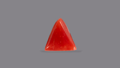 Italian Red Coral 5.14 Carats / 5.65 Ratti
