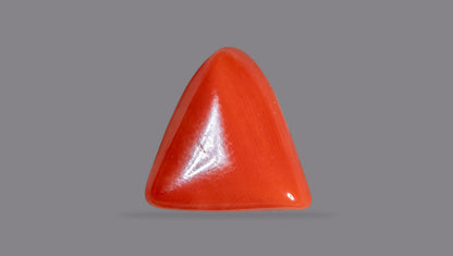 Italian Red Coral 6.52 Carats / 7.16 Ratti