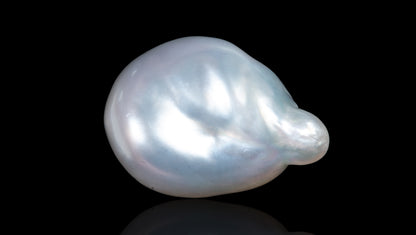 Venezuela Pearl 12.35 Carats / 13.57 Ratti
