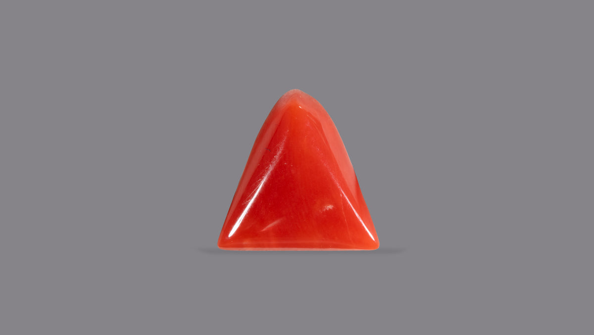 Italian Red Coral 5.79 Carats / 6.36 Ratti