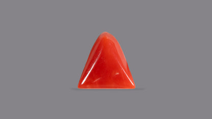 Italian Red Coral 5.79 Carats / 6.36 Ratti