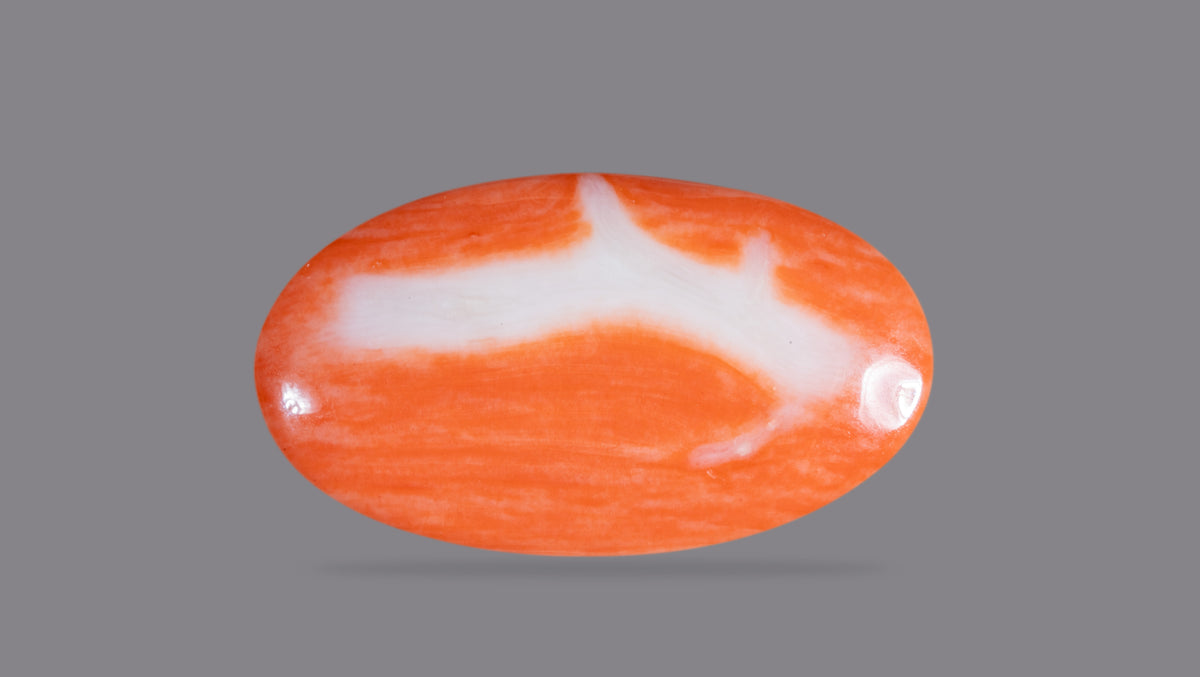 Japanese Red Coral 23.92 Carats / 26.29 Ratti