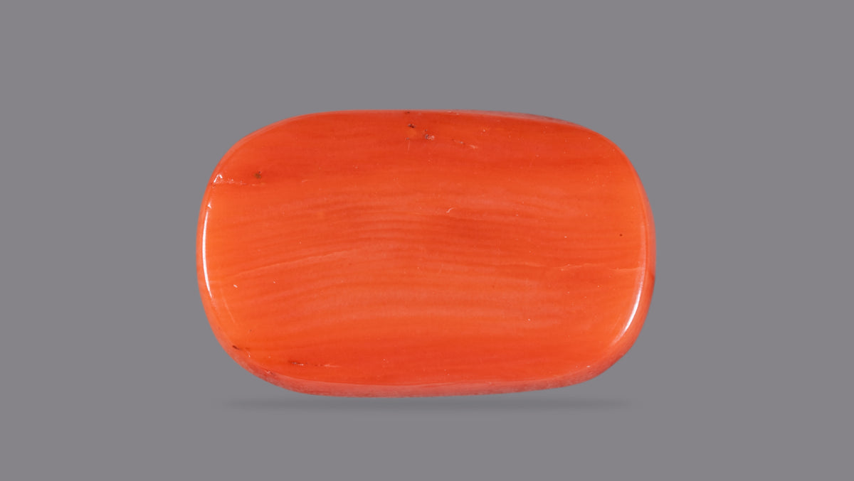 Italian Red Coral 8.61 Carats / 9.46 Ratti