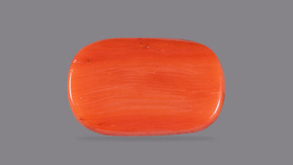 Italian Red Coral 8.61 Carats / 9.46 Ratti