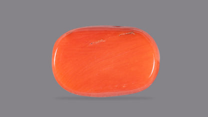Italian Red Coral 10.59 Carats / 11.64 Ratti