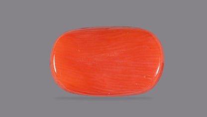 Italian Red Coral 12.59 Carats / 13.84 Ratti