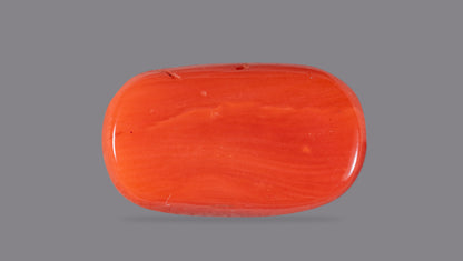 Italian Red Coral 9.55 Carats / 10.49 Ratti